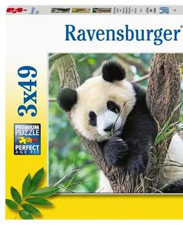Hračky puzzle RAVENSBURGER - Panda, tygr a lev 3x49 dílků