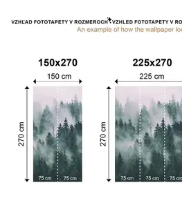 Samolepící tapety Samolepící fototapeta zasněžené černobílé borové stromy