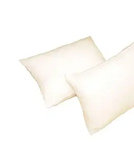 Přikrývky Forbyt, Výplň do polštáře, bílý, 40 x 60 cm, obdélník