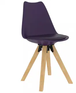 Židle Jídelní židle 2 ks plast / umělá kůže / buk Dekorhome Modrá