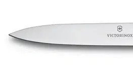 Kuchyňské nože Victorinox 6.7706.L119 10 cm