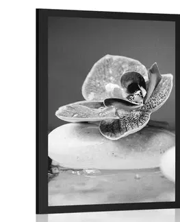 Černobílé Plakát Zen kameny a orchidej v černobílém provedení