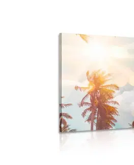 Obrazy přírody a krajiny Obraz paprsky slunce mezi palmami