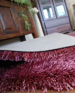 Koberce a koberečky Dywany Lusczow Kusový koberec LOVE SHAGGY fialový, velikost 250x350