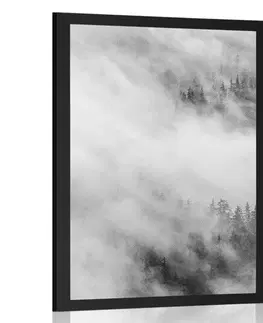 Černobílé Plakát černobílý mlhavý les