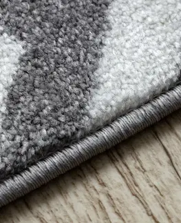 Koberce a koberečky Dywany Lusczow Kusový koberec SKETCH MIKE šedý / bílý - Cikcak, velikost 200x290