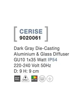 Moderní stropní svítidla NOVA LUCE venkovní stropní svítidlo CERISE tmavě šedý hliník a skleněný difuzor GU10 1x7W IP54 220-240V bez žárovky 9020061