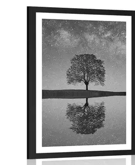 Černobílé Plakát s paspartou hvězdná obloha nad osamělým stromem v černobílém provedení