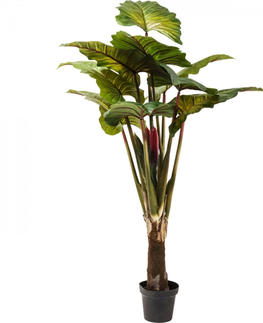 Umělé rostliny KARE Design Umělá rostlina Listy deštného pralesa 160cm