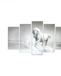 Obrazy Hanah Home Vícedílný obraz White Horse 110x60 cm
