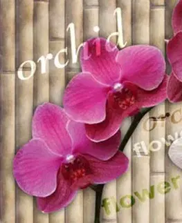 Tapety Samolepící fototapeta do kuchyně nádherná orchidej