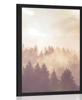 Příroda Plakát mlha nad lesem