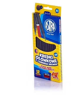 Hračky ASTRA - Ergonomické barvičky z černého dřeva 12ks + struhadlo, 312114001