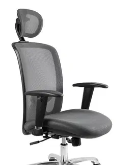 Kancelářské židle ArtUniq Kancelářská židle EXPANDER Barva: Šedá