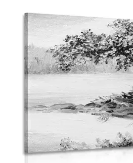 Černobílé obrazy Obraz orientální třešeň v černobílém provedení
