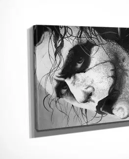 Obrazy Wallity Obraz JOKER 30x40 cm šedý