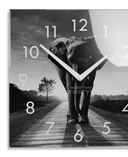 Nástěnné hodiny Dekorační černobílé skleněné hodiny 30 cm s motivem slona