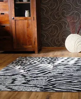 Koberce a koberečky Dywany Lusczow Kusový koberec BCF FLASH 33307/177, velikost 160x225