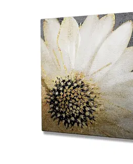Obrazy Wallity Obraz na plátně Whispering flower KC165 45x45 cm