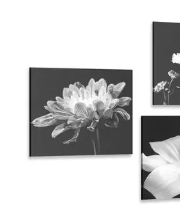 Sestavy obrazů Set obrazů elegance ženy a květin v černobílém provedení