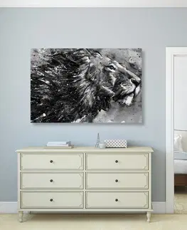 Černobílé obrazy Obraz král zvířat v černobílém akvarely