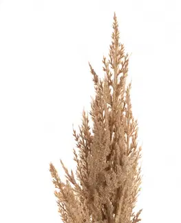 Umělé květiny Větvička pampové trávy 90cm beige