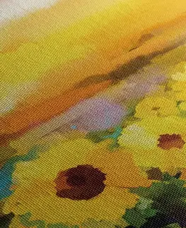 Obrazy květů Obraz slunečnicové pole