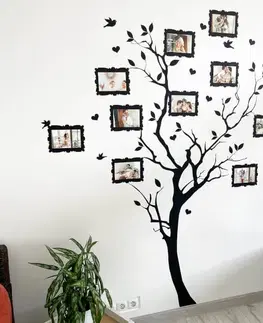 Samolepky na zeď Samolepky na zdi - Strom s fotkami 9 × 13 cm