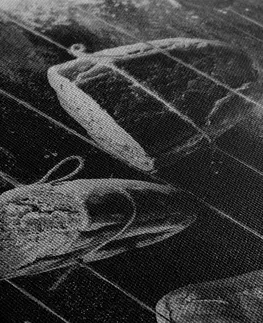 Černobílé obrazy Obraz visící pečivo na laně v černobílém provedení