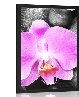 Feng Shui Plakát nádherná orchidej a kameny