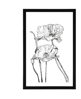 Motivy z naší dílny Plakát s paspartou minimalistické květiny máku