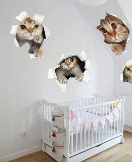Zvířátka Dětská nálepka na zeď s roztomilým koťátkem