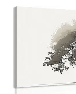 Obrazy stromy a listy Obraz minimalistický listnatý strom