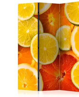 Paravány Paraván Citrus fruits Dekorhome 135x172 cm (3-dílný)