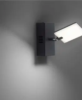 LED bodová svítidla PAUL NEUHAUS PURE-MIRA, LED nástěnné svítidlo, černá, stmívatelné, CCT 2700-5000K