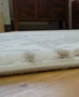 Koberce a koberečky Dywany Lusczow Kusový koberec FLORYA Tezy béžový, velikost 80x150