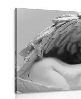 Černobílé obrazy Obraz malý andílek v černobílém provedení