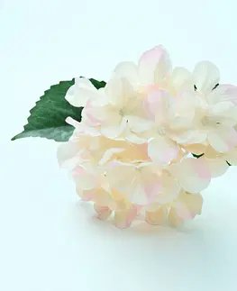 Květinové dekorace Hortenzie