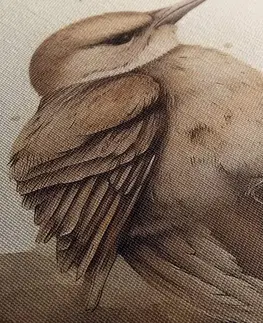 Zasněná zvířátka Obraz zasněný ptáček