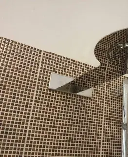 Sprchy a sprchové panely Slezák-Rav kovová KS0006