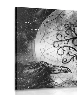 Černobílé obrazy Obraz magický strom života v černobílém provedení