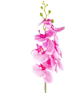 Květiny Umělá Orchidej tm. růžová, 86 cm