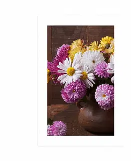 Květiny Plakát s paspartou zátiší s podzimními chryzantémy