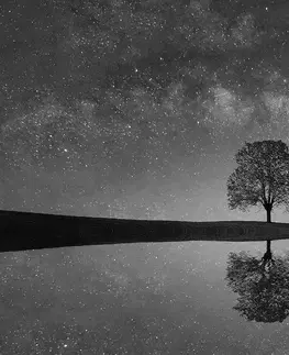 Samolepící tapety Samolepící fototapeta černobílá hvězdná obloha nad osamělým stromem