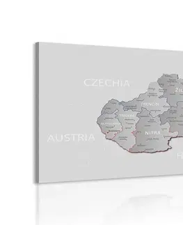 Obrazy mapy Obraz šedá mapa Slovenska s decentním kontrastem