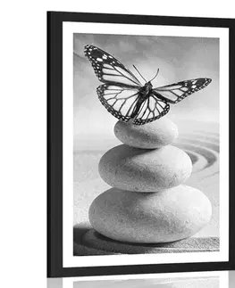 Černobílé Plakát s paspartou rovnováha kamenů a motýl v černobílém provedení