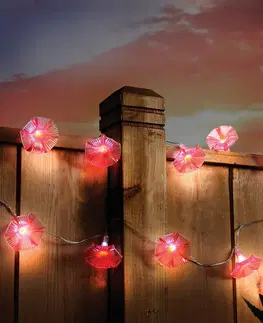 Svíčky a světelné dekorace 10 solárních světel Květy svlačec