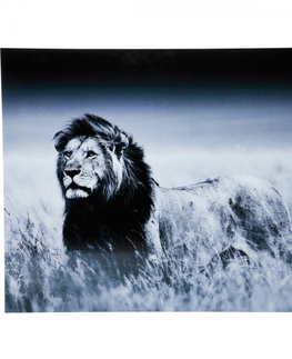Fotoobrazy KARE Design Skleněný obraz Lev v africké savaně 120x160cm