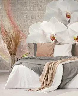 Samolepící tapety Samolepící tapeta bílá orchidej na plátně