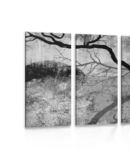 Černobílé obrazy 5-dílný obraz surrealistické stromy v černobílém provedení